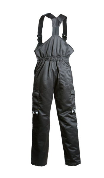 Зимний полукомбинезон Dimex 619