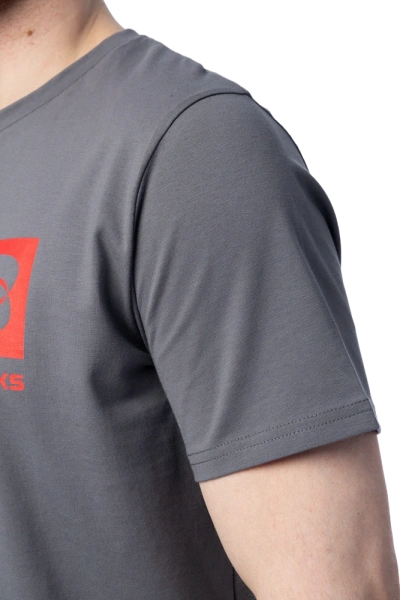 Футболка BRODEKS KS705 (серый)