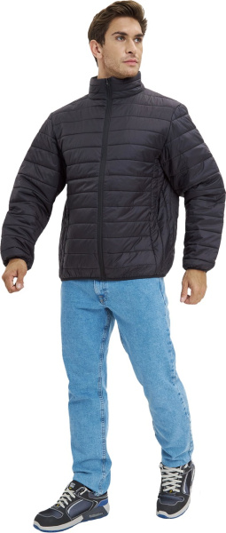 Куртка ДЕМИ стеганая зимняя (черный)