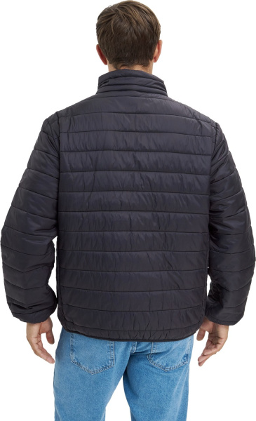 Куртка ДЕМИ стеганая зимняя (черный)