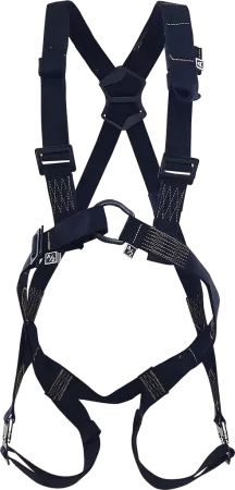 Страховочная привязь СП-02-01 (О) ФАСТ с идентификационной книжкой и спинным удлинителем (черный)