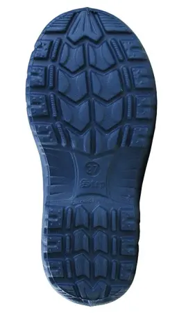 Сапоги ЭВА ОНЕГА -55С STEP женские зимние с надставкой (в ассортименте)