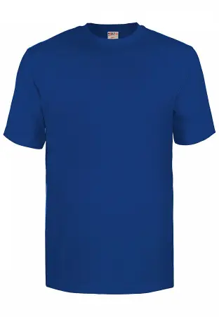 Футболка HASKY 181 (нм) бесшовная (ярко-синий)