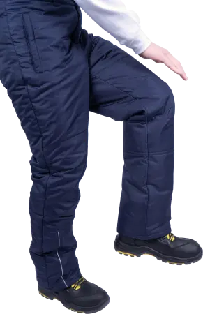 Брюки ФЬЮЖЕН зимние (синий)