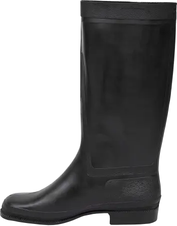 Сапоги резиновые